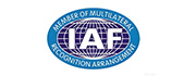 Partner-IAF