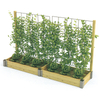 Outdoor climbing vine planting-wooden green plants