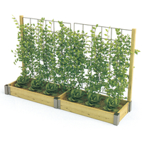 Outdoor climbing vine planting-wooden green plants