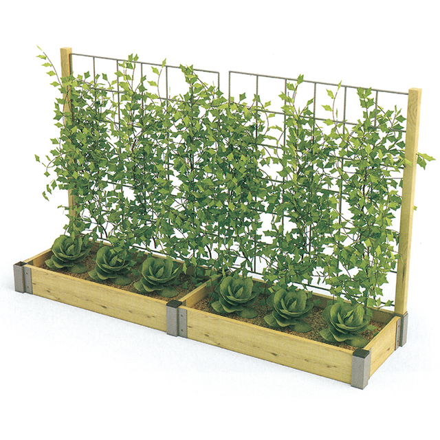 Outdoor climbing vine planting-wooden green plants