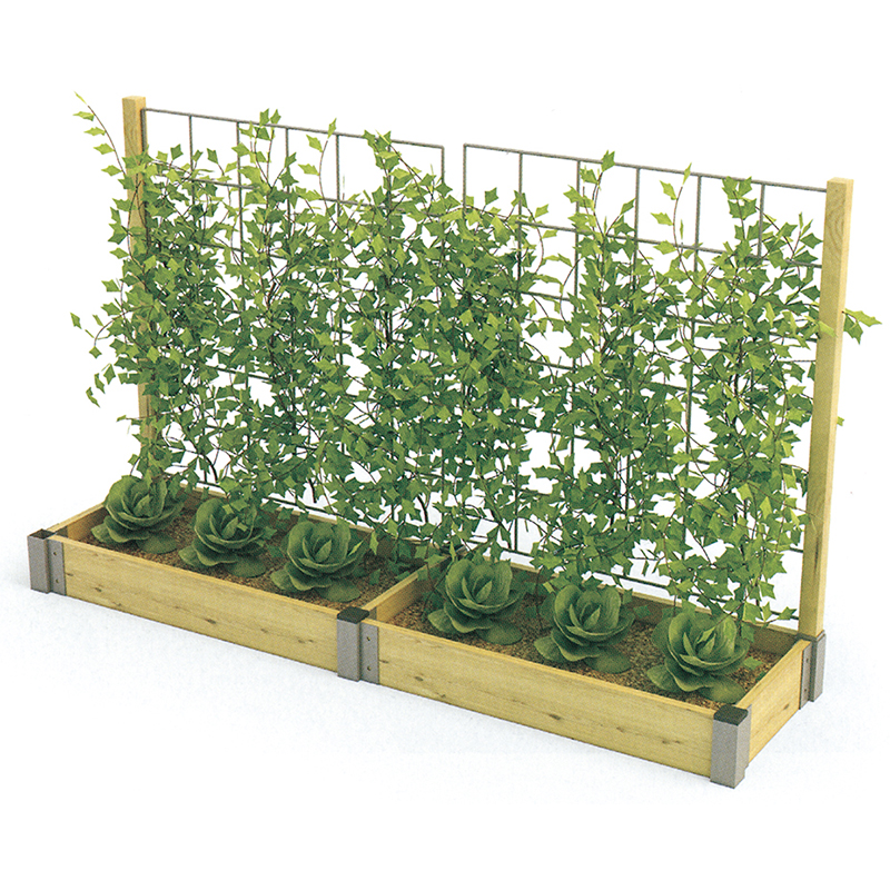 Outdoor climbing vine planting-wooden green plants