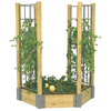 Outdoor climbing vine planting-wooden green plants